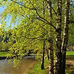 Gaupnetunet Og 3* Gaupne