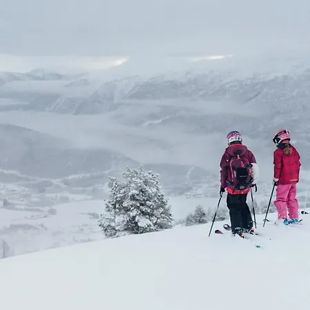 Gaupnetunet Og 3*