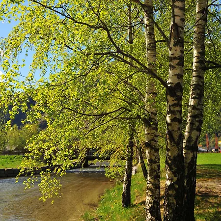 Gaupnetunet Og 3* Gaupne