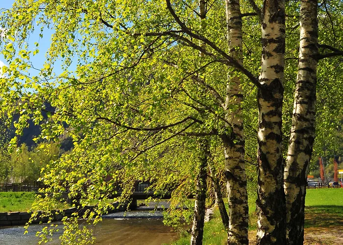 Gaupnetunet Og 3* Gaupne