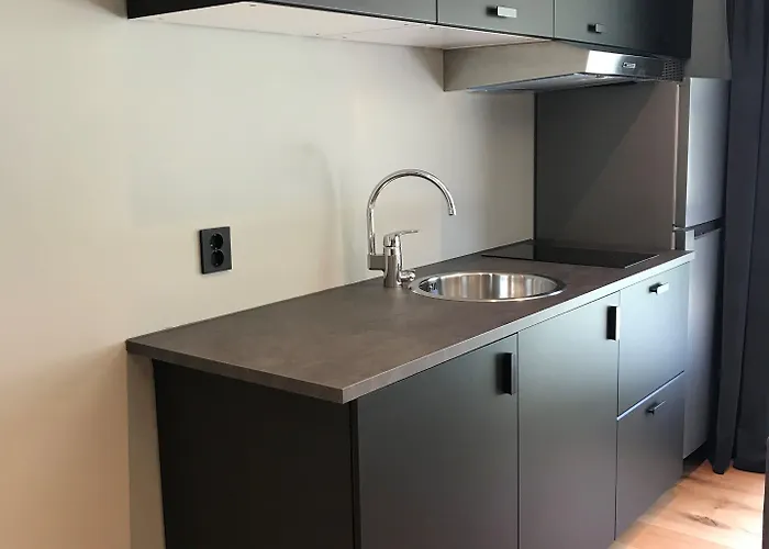 מלון Gaupnetunet Og 3*