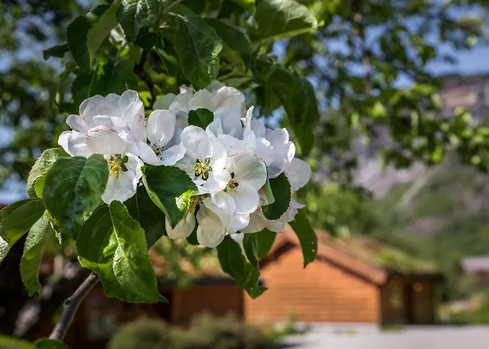 מלון Gaupnetunet Og