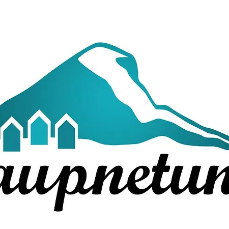 Hotel Gaupnetunet Og 3*