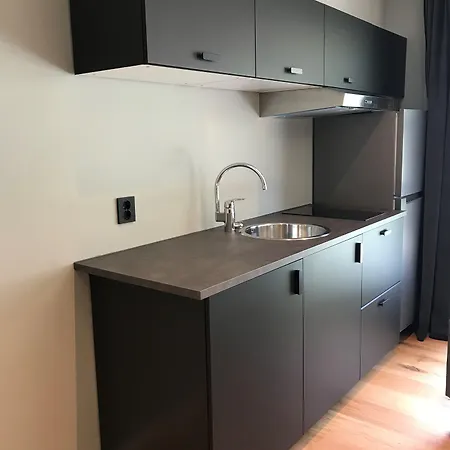 Hotel Gaupnetunet Og 3*