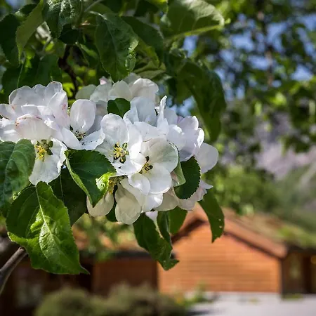 Hotel Gaupnetunet Og